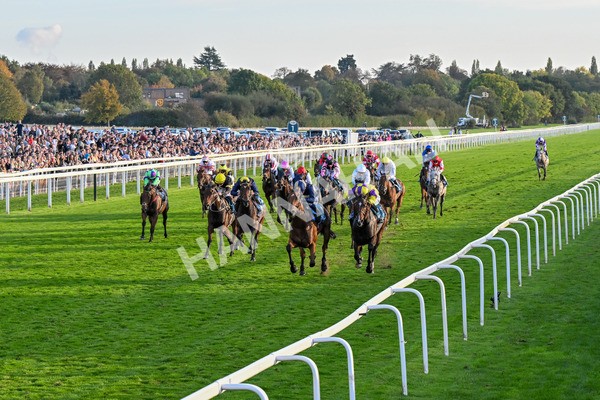 111025-Race 7-Lets Dream-0692 - Race 7 Coral 'Committed To Safer Gambling' Finale Handicap at York