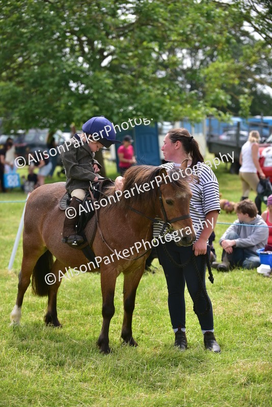 20260614-4014 - Class 16 - Handsome Gelding