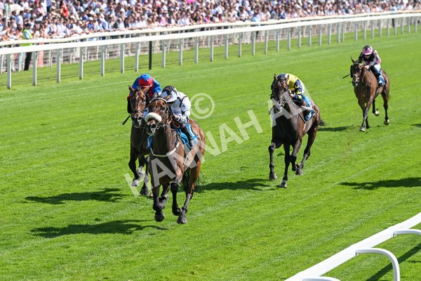 120725-Race 4-Al Qareem-5769 - Race 4 3.45pm John Smith's Silver Cup Stakes