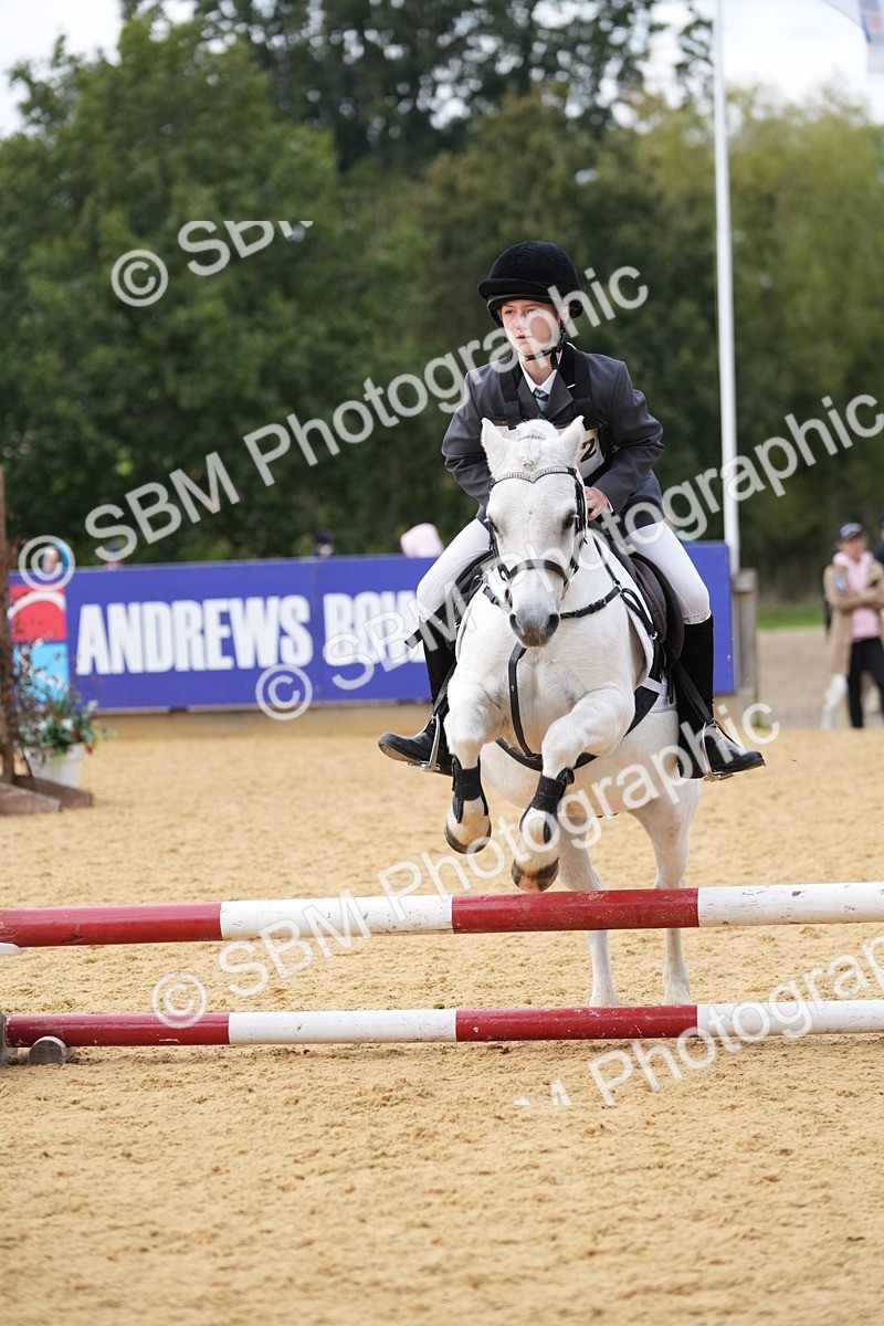 SBM_74778 - J4 - Mini Tour Junior Pony 45cm Championship