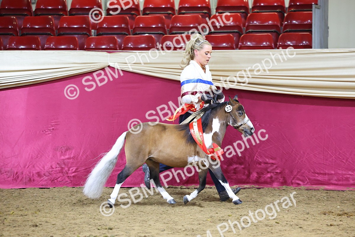 SBM_18740 - Class D IH Pony Champ