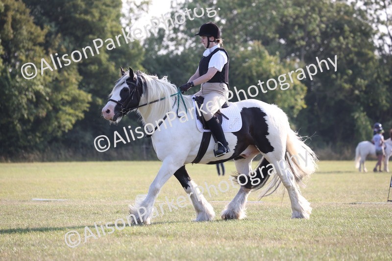 20250731-0734 - Class 1 - Intro 4