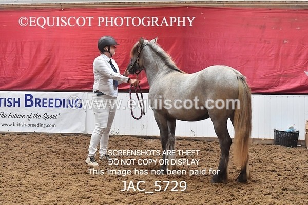 JAC_5729 - 6 Glenmuir Niamh