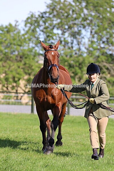 SIAL5853 - Ring 1 & 3