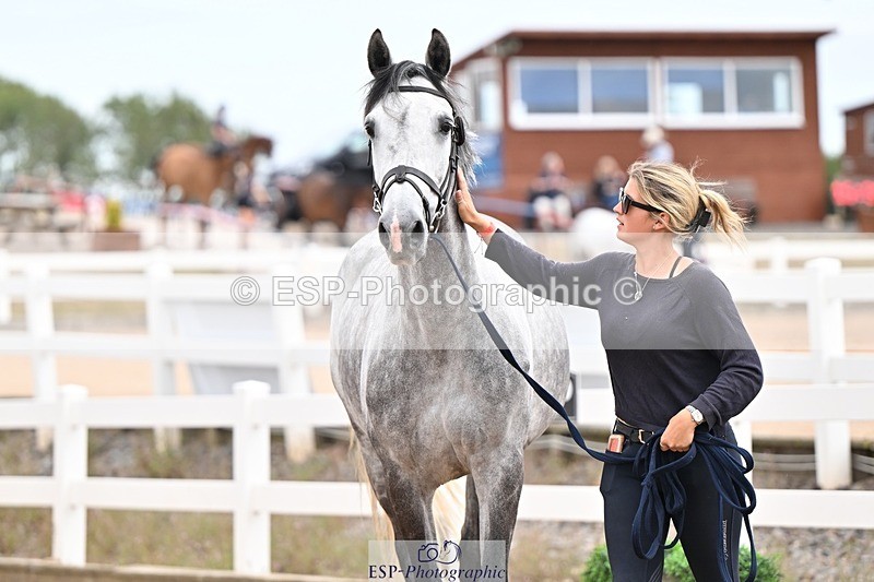 250716-155543-02293 - Trot Up 3.30 to 4.30