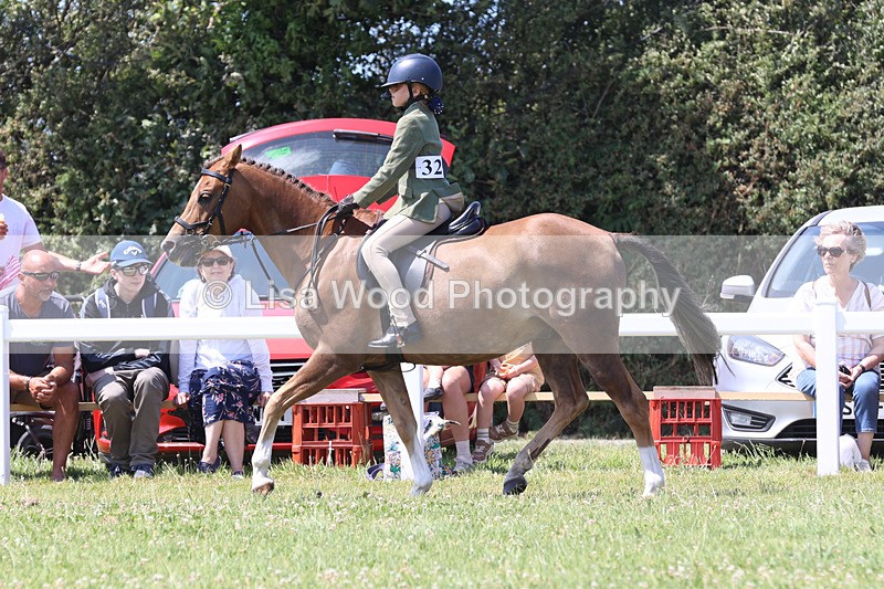 JPP_2768 - Class 21: Working Hunter 60cm