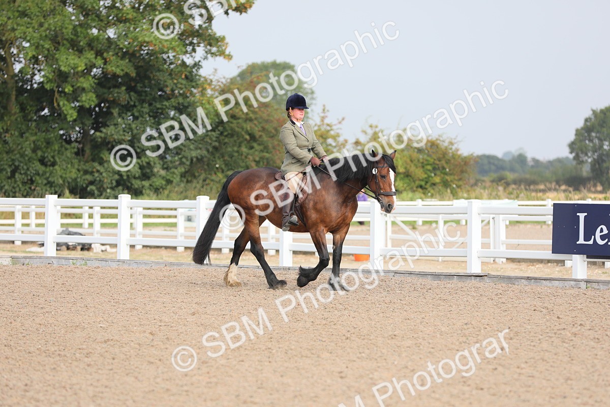 SBM_10856 - Class 304 Ridden Part Bred Horse/Pony
