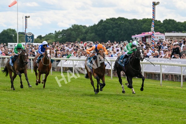 310525-Race 2-Tadej-8931 - Race 2 2.05pm Irish Thoroughbred Marketing EBF Restricted Novice Stakes