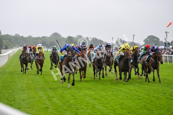 130724-Race 3-Enfjaar-7243 - Race 3 3.10pm John Smith's Cup Handicap