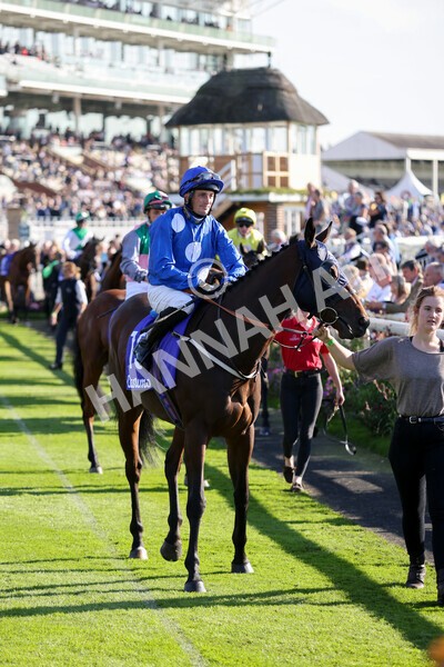yr08102021r3-6 - Race 3 3.15pm Download The Casumo App Today Handicap