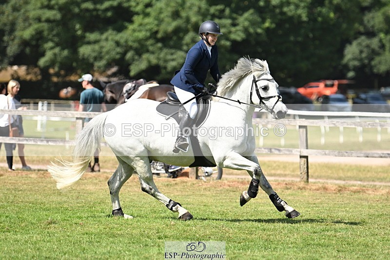 250704A-104044-07034 - Cls 25 Snr British Novice and 90cm