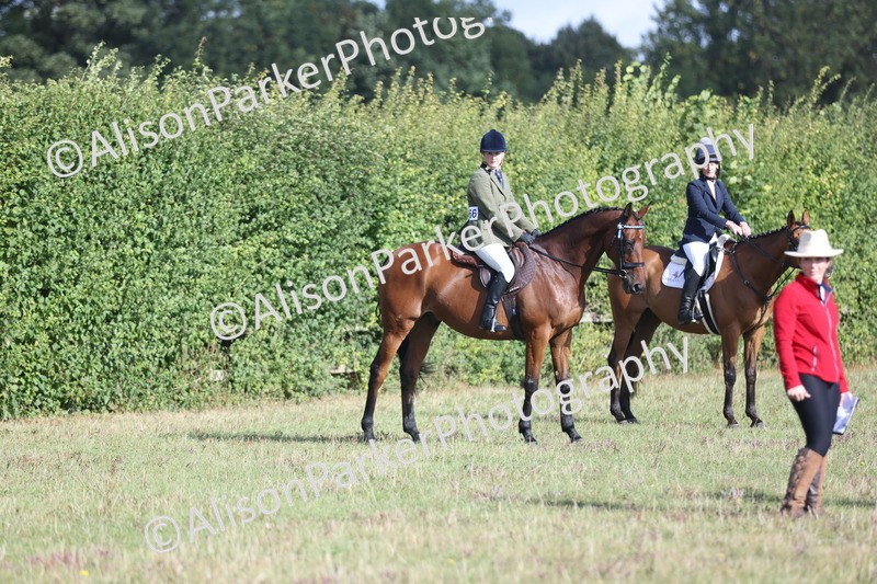 20250831-0819 - Class 14 - Ex Racehorse