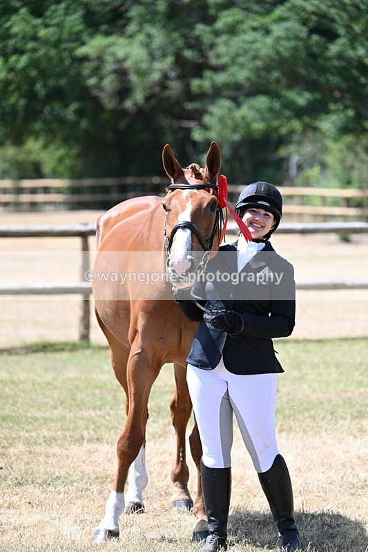 WJ7_2444 - Class 5a Most Handsome Gelding in hand (above 14.2hh)