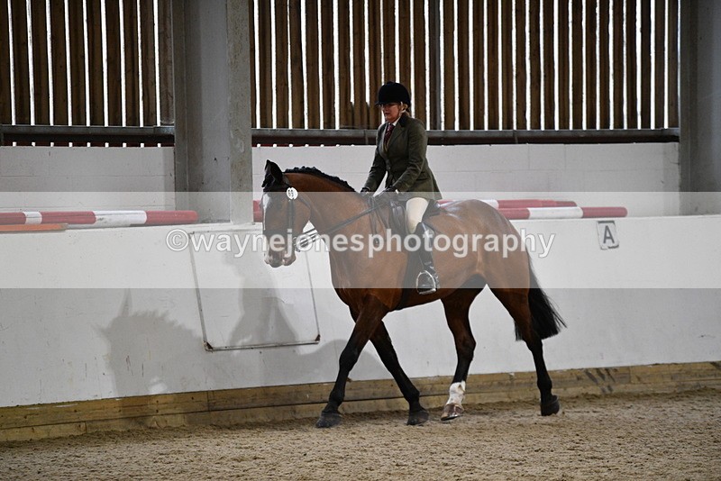 WJ5_9000 - Class 15 Ridden Show Horse