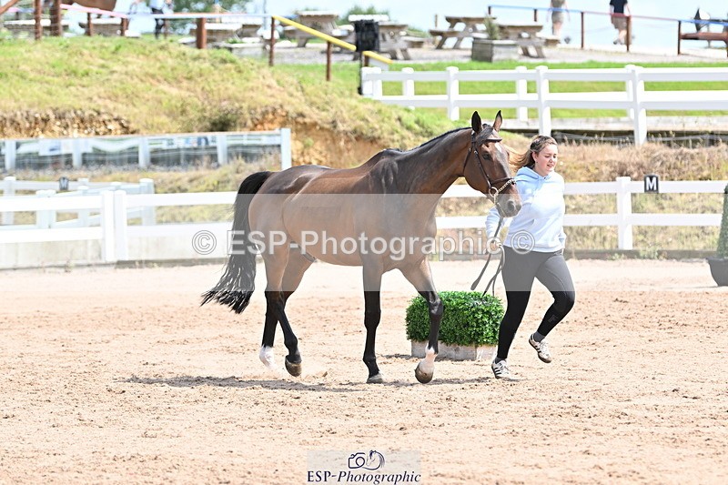 240717A-144927-02319 - Trot Up 2pm to 3pm - This folder is not in time order