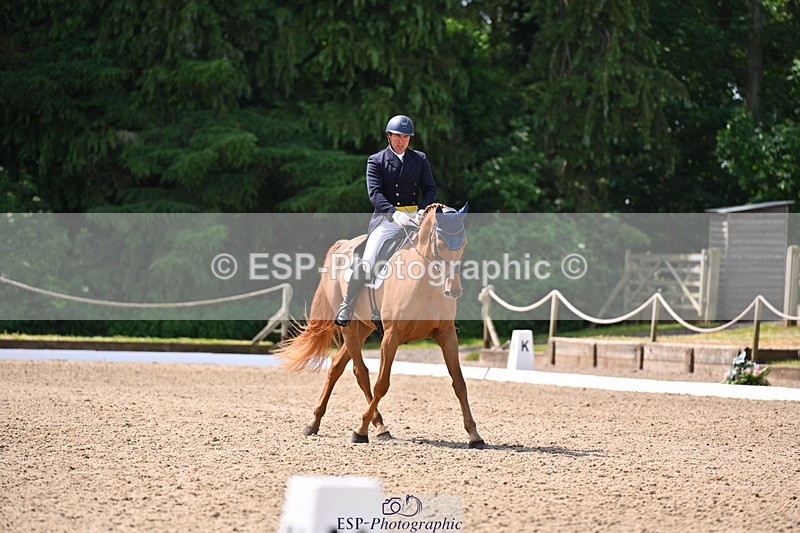 250523A-113524-06586 - C-273-Tim.Cheffings-HEARSAY.LARK.RISING