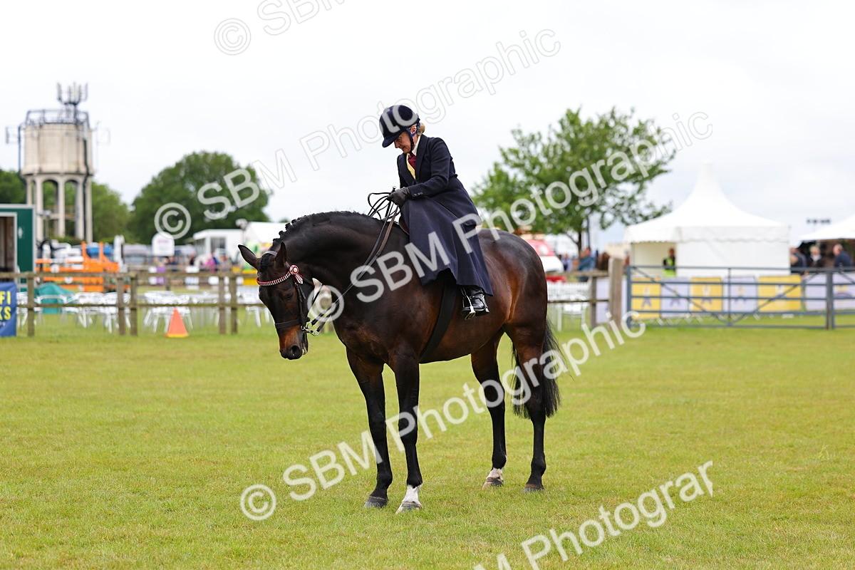 SBM_02828 - Class 9-11 Side Saddle including LIHS Rising Star Ladies Show Horse