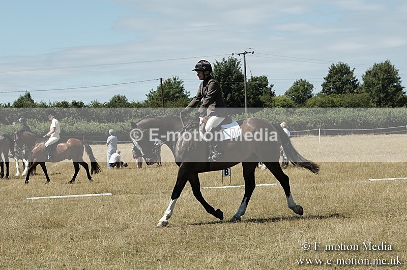 _PJP5908 - Dressage Classes BVRC Show 2018