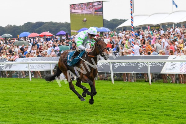 100923-Race 3-Yorkindness-0652 - Race 3 2.45pm Fine Details Vehicle Valeting Handicap