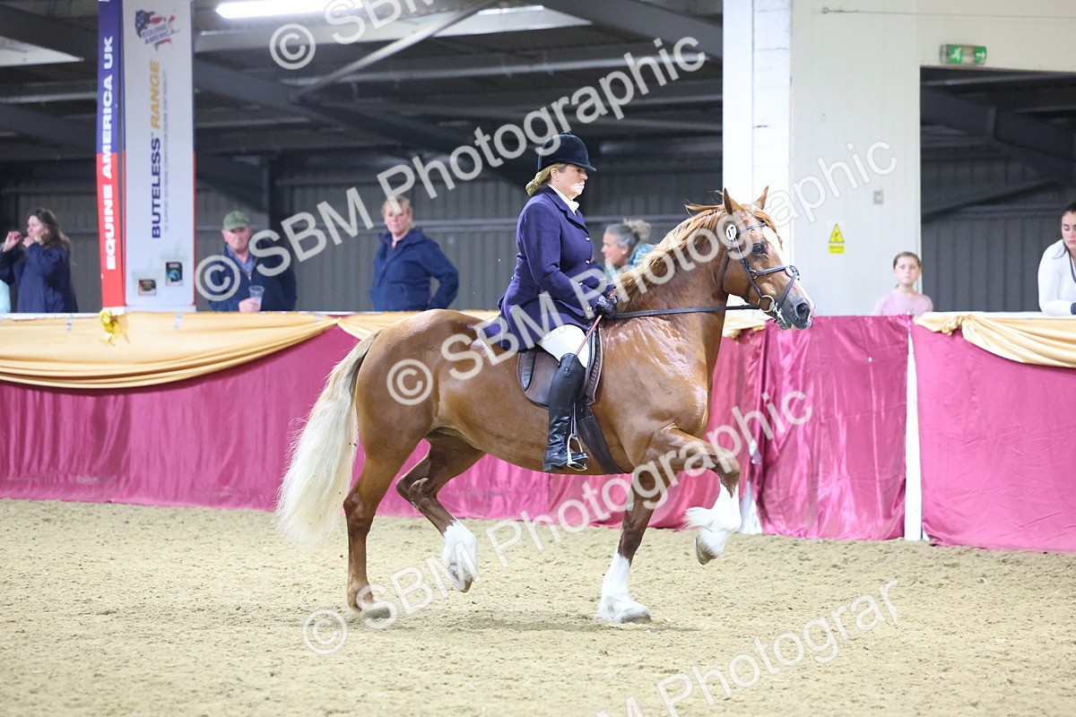 0B8A4600 - Class Q Style & Performance Champ