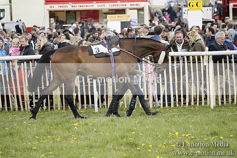 PtP 170417 112 - Old Berks Point-to-Point Lockinge 17/04/17