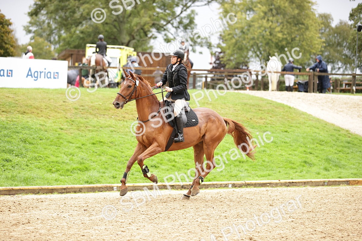 SBM_33250 - J38 - Senior Horse & Pony 80cm Championship