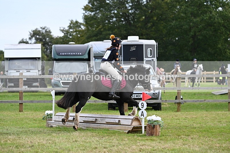 WJ7_8048 - 40cm Time 10:49 to 11:18