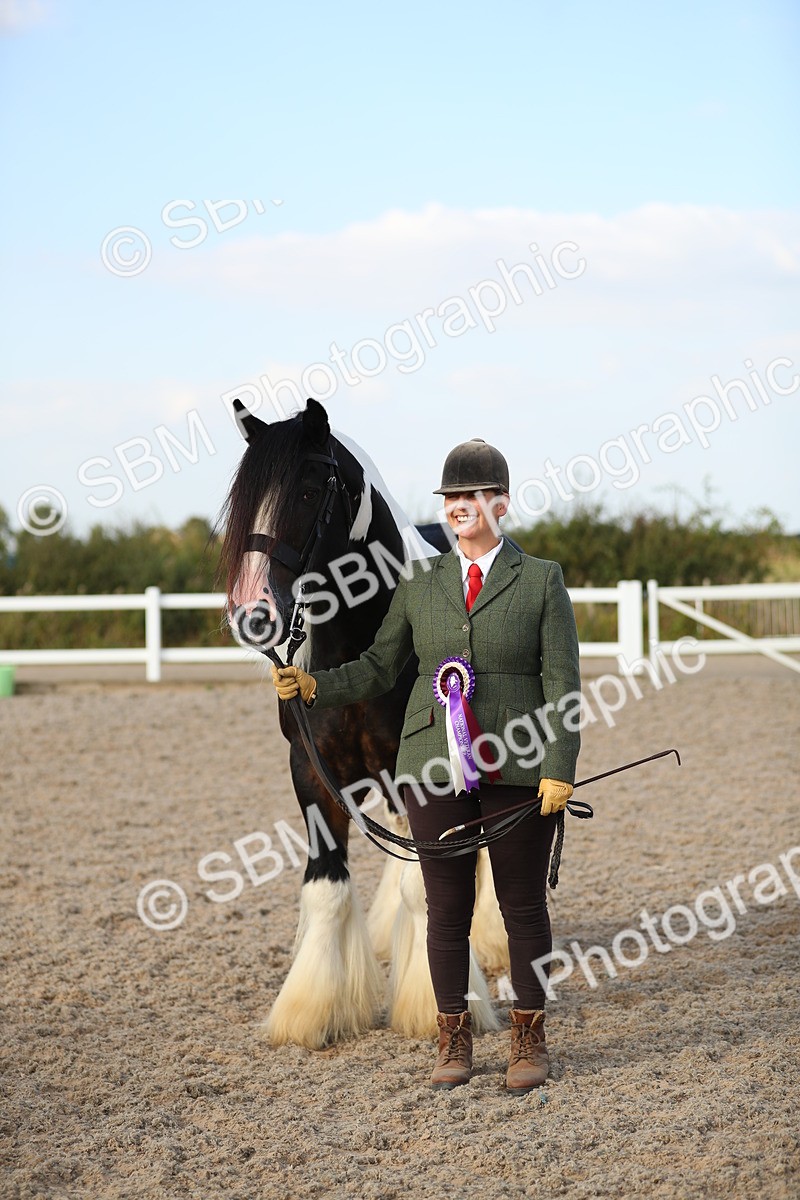 SBM_08706 - Class 28 - IH Veteran Horse