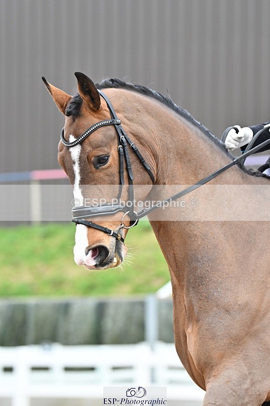 240218A-134223-07688 - 262-Amy.Hose-Enrique