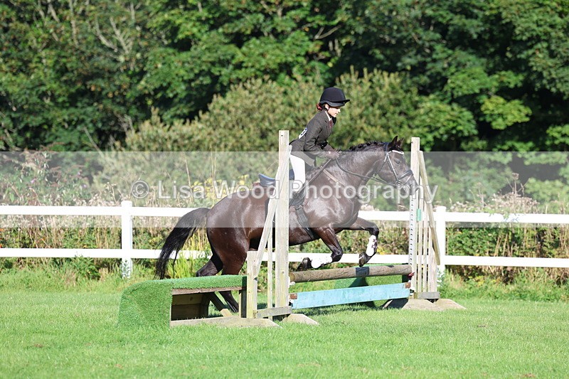3E7A7482 - Class 1: Novice Working Hunter Pony