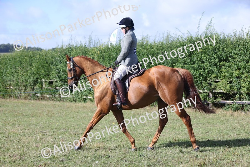 20250831-0899 - Class 14 - Ex Racehorse