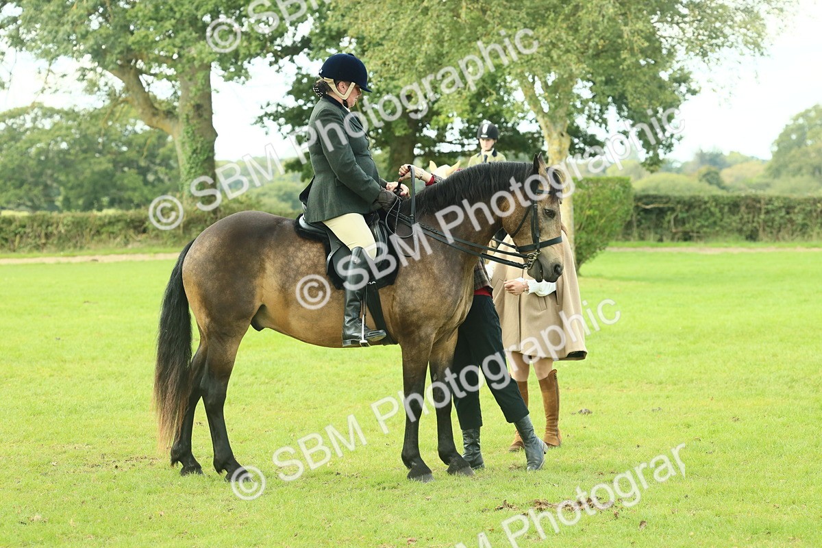 SBM_62622 - S63 - Other Coloured Horse Ridden