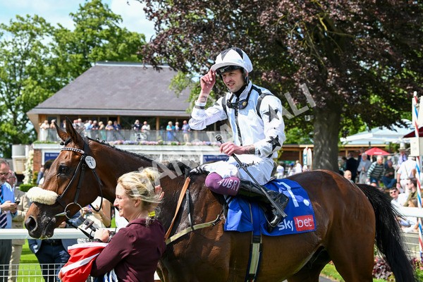140625-Race 3-Al Qareem-2594 - Race 3 3.00pm Sky Bet Race To The Ebor Grand Cup Stakes