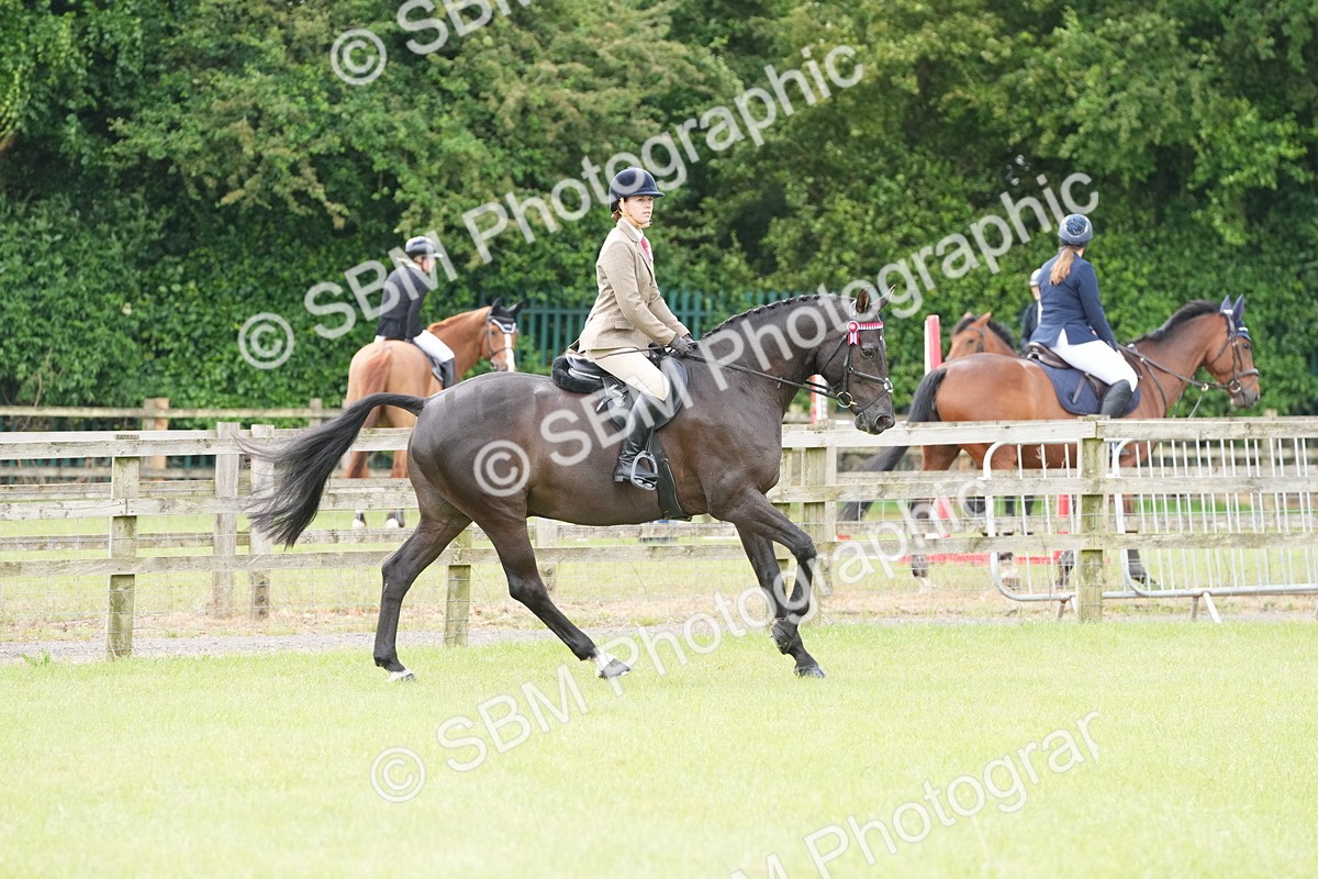SBM_12936 - Class 99 - RIHS SEIB Working Show Horse