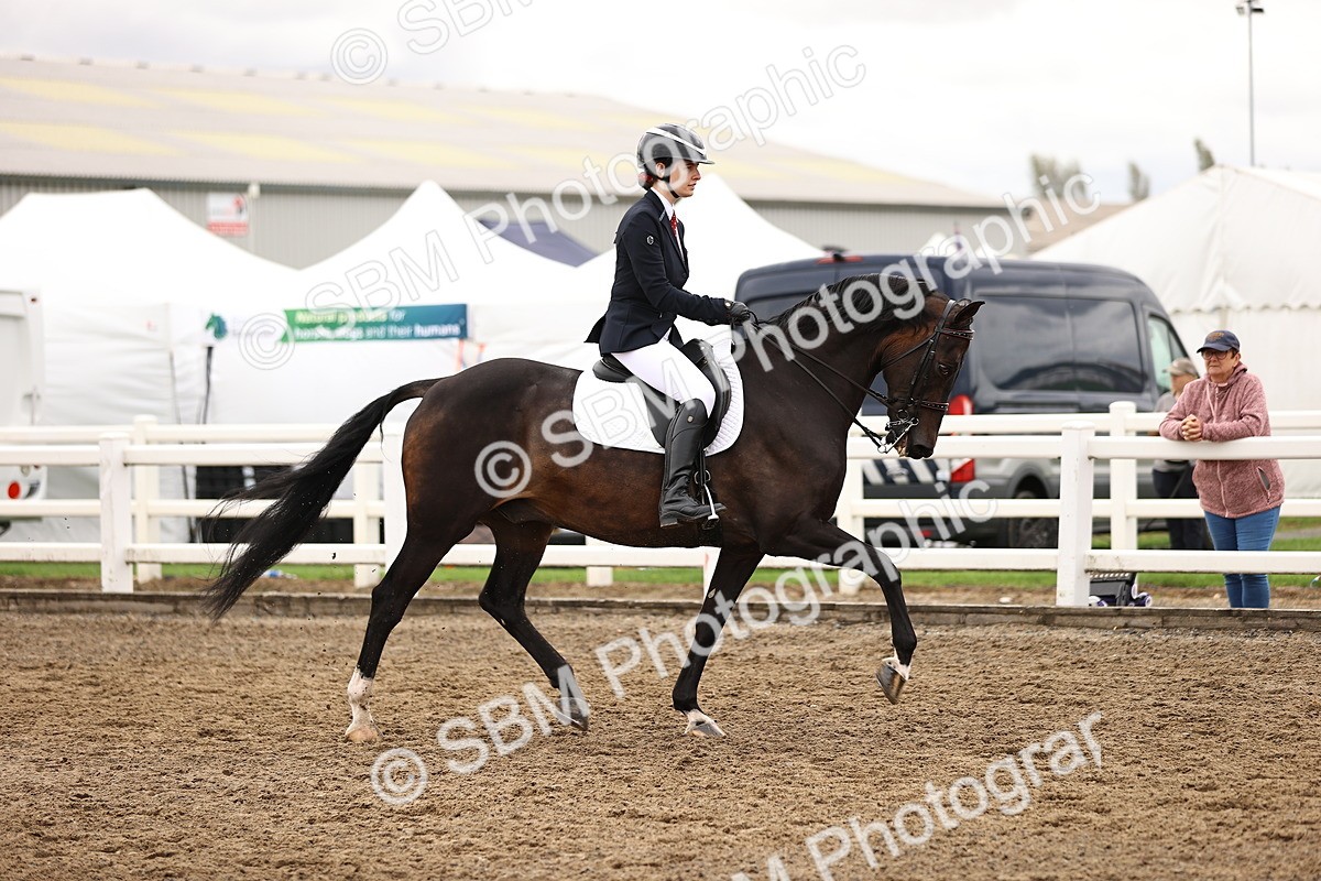 SBM_01342 - Class 54 - Riding Club Horse Pony