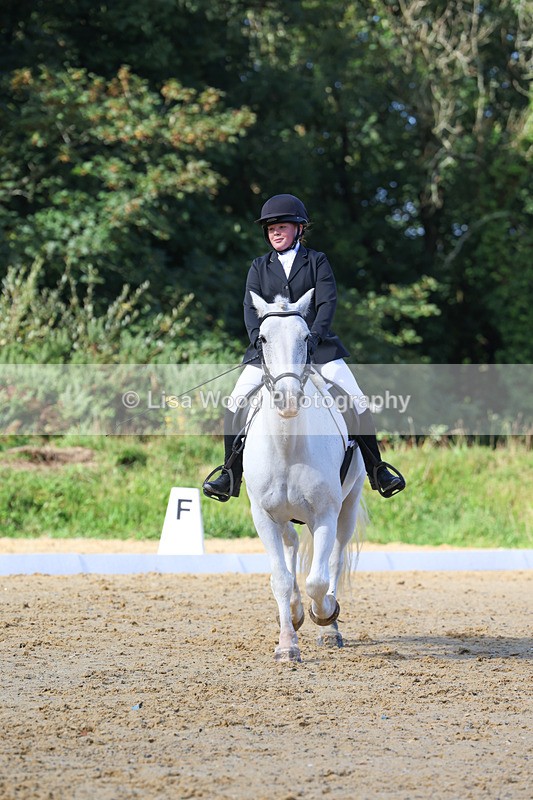 3E7A2494 - Class 1: Intro 4 2024 section A