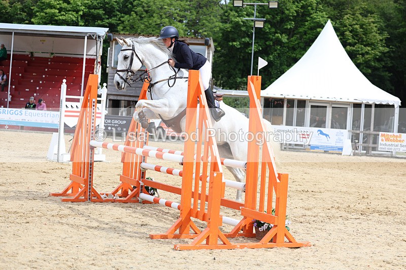 3E7A8632 - Class 4: Senior British Novice/90cm open