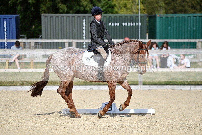 WJ5_8019 - Time 16:56 to 17:14