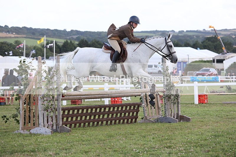 JPP_3638 - Class 24: Open Working Hunter