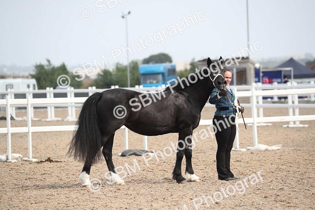 SBM_23283 - Class 606 - 2025 Area - IH Pre Vet