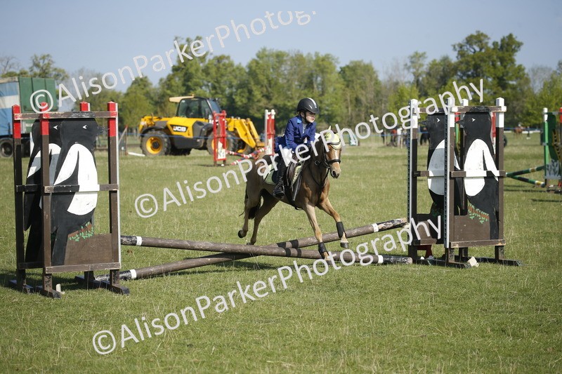 20250427-0358 - Class 12 - Rookie Jumping 40cm