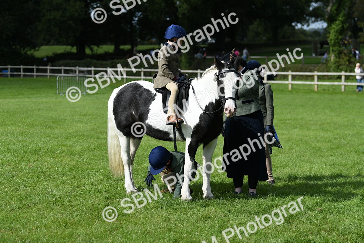 SBM_47009 - S12 - Family Horse & Pony