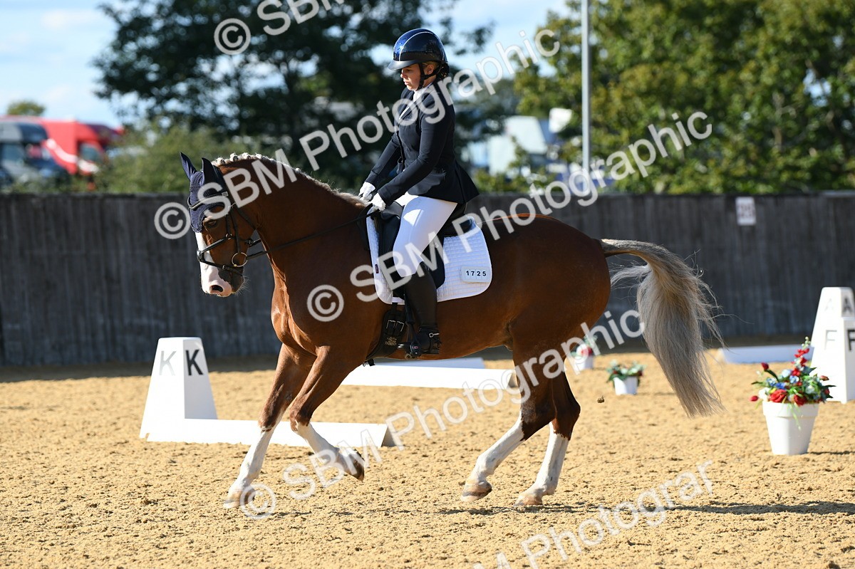 SBM_27315 - D16 - Small Tour Championship - Novice 28