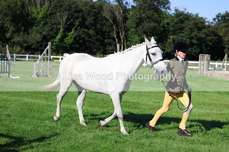 3E7A7698 - Class 1: Novice Working Hunter Pony