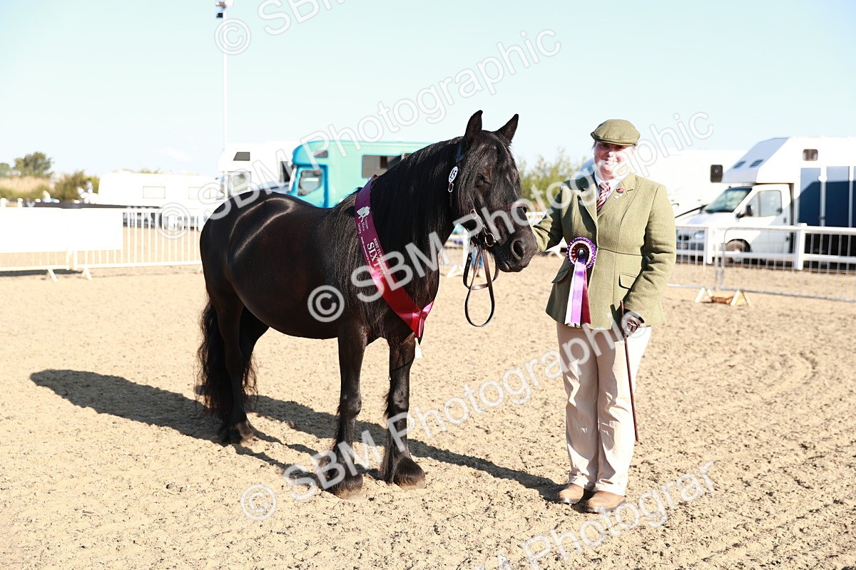 SBM_00156 - Class 40 Best Turned Out IH