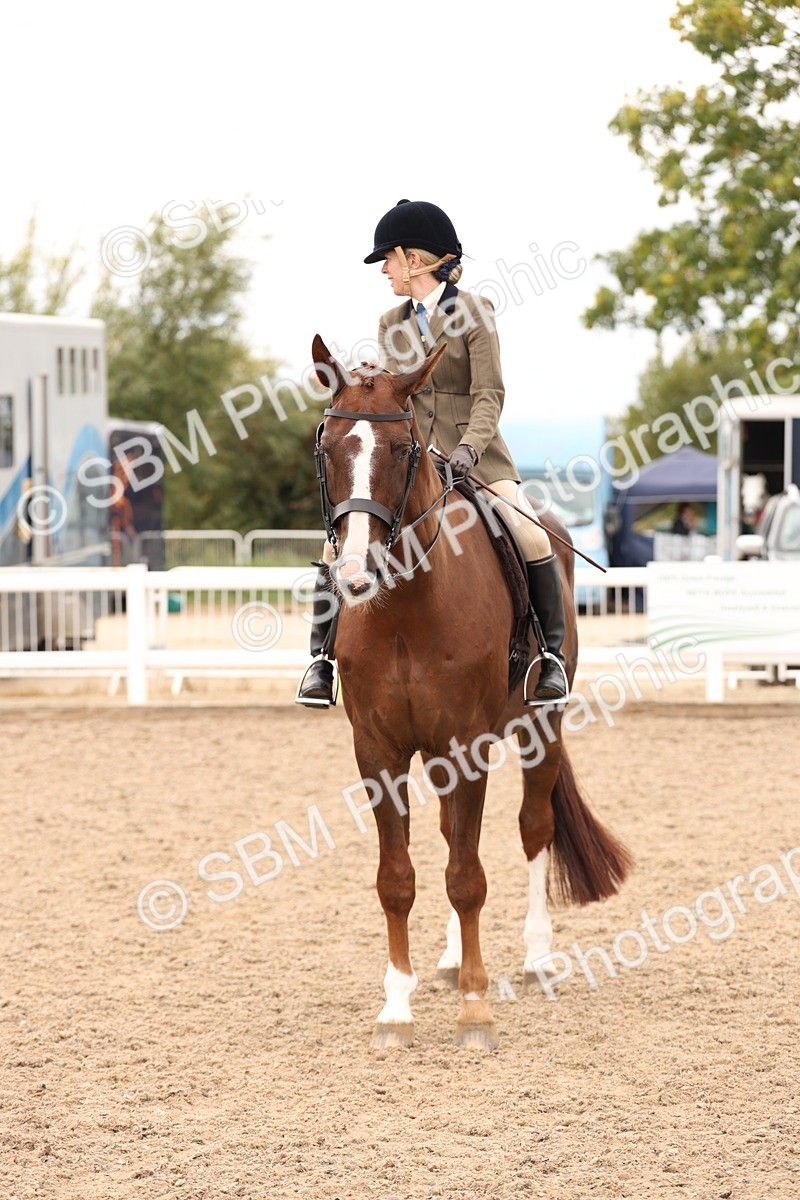 SBM_17257 - Class 213 - Ridden Hunter - Large