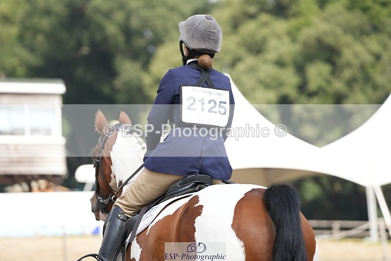 250824A-133017-37528 - 2125-Hen.Jeanes-Painted.proper