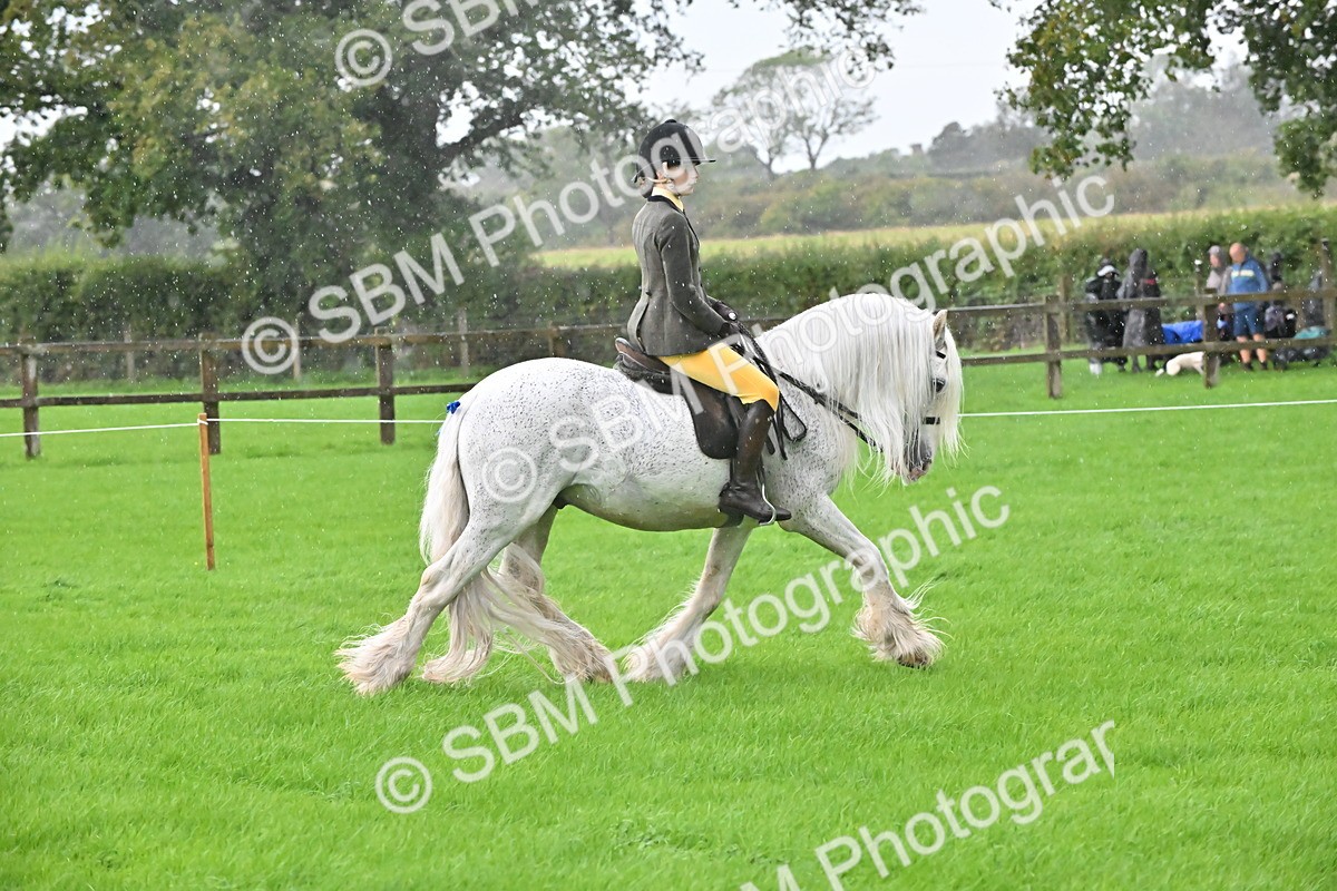 SBM_35703 - S16 - Top Turnout - Ridden