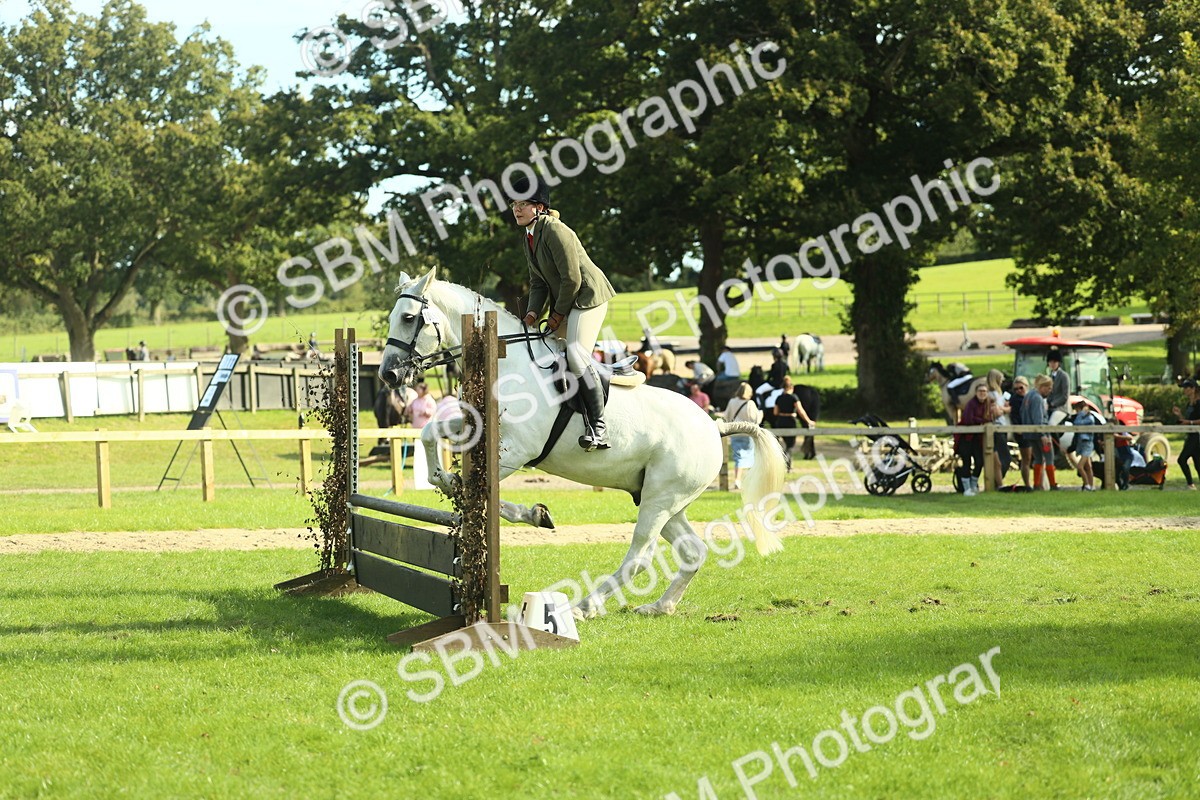SBM_50547 - S33 - Working Hunter & Working Show Horse