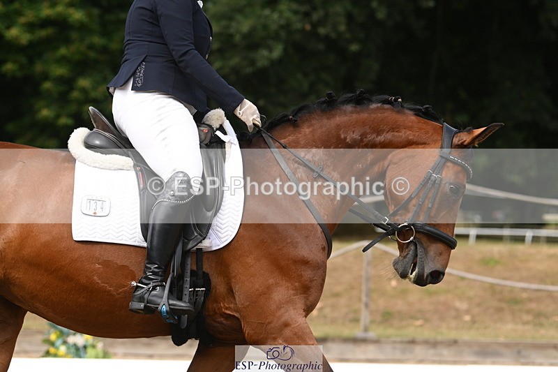 250719A-104939-04043 - 134-Carly.Moore-Taylors.Park.De'.Debutant